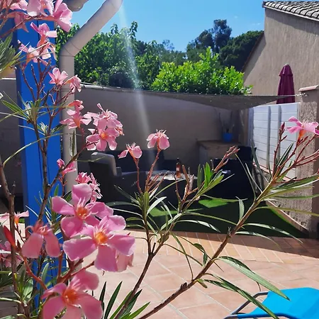 St Cyprien Superbe Maison De Сasa de vacaciones Saint-Cyprien (Pyrenees-Orientales)